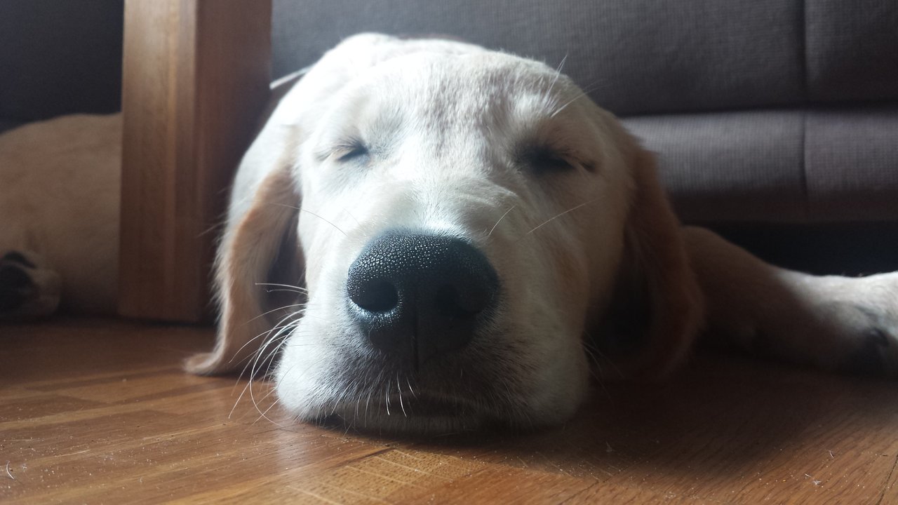 20190818_165947.jpg
