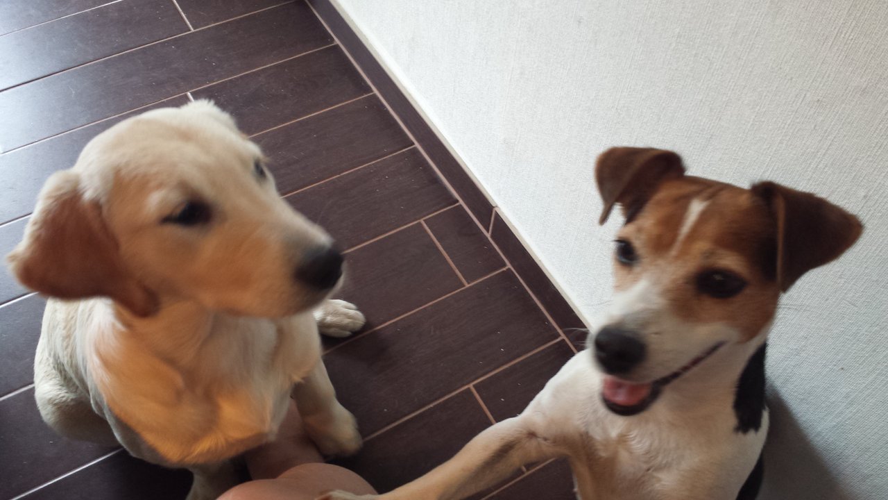 20190820_145320.jpg