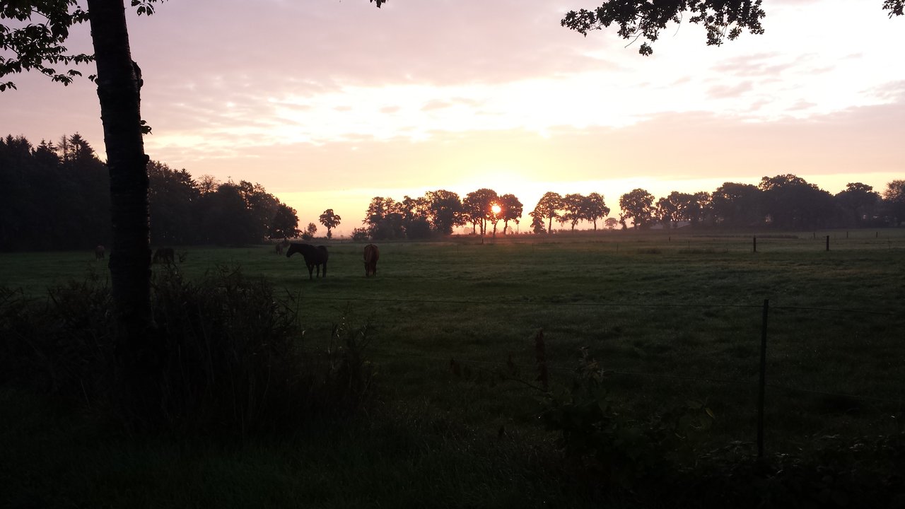 20190911_071101.jpg