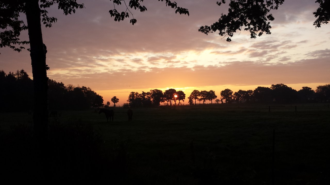 20190911_071103.jpg