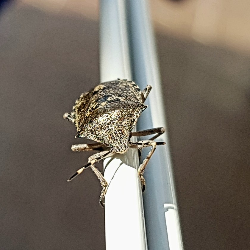 20190922_154916.jpg