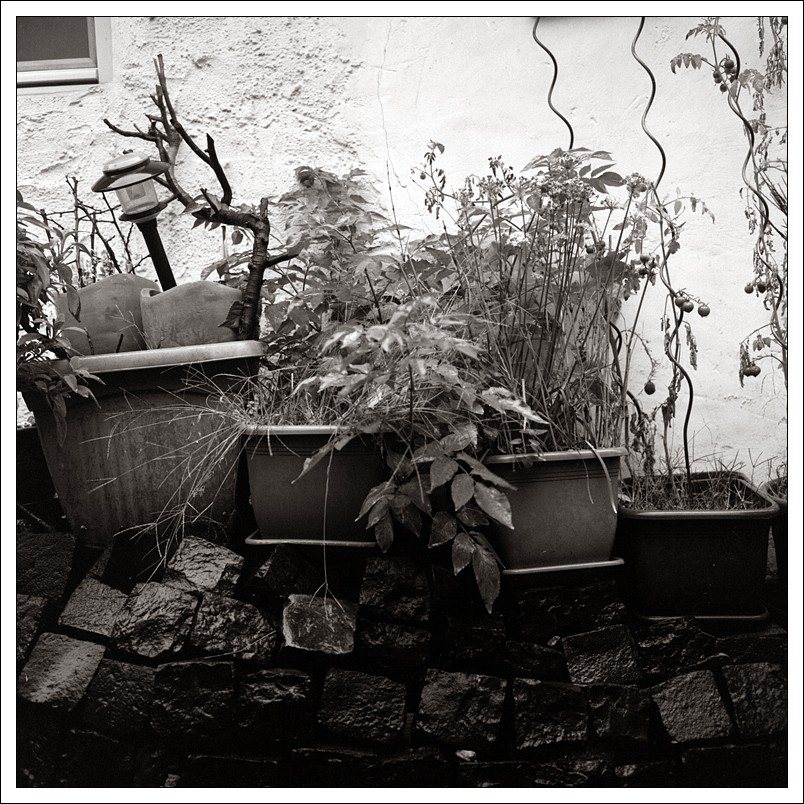 20190927-Regen im Hof 01.jpg
