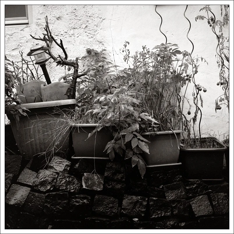 20190927-Regen im Hof 01.webp