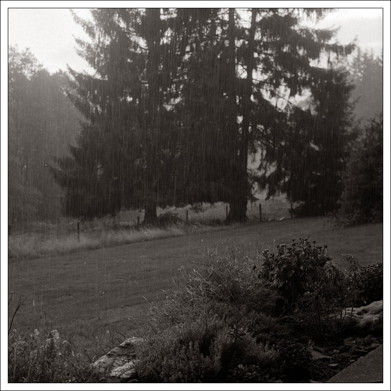 20191003-Regen 02.jpg