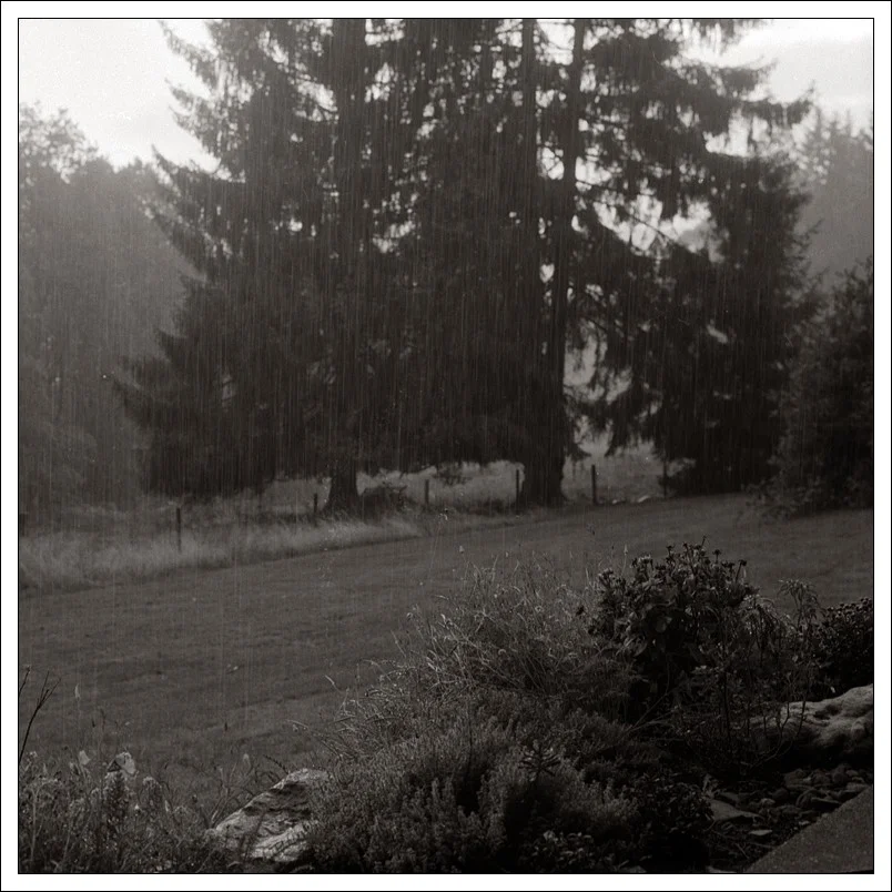 20191003-Regen 02.webp