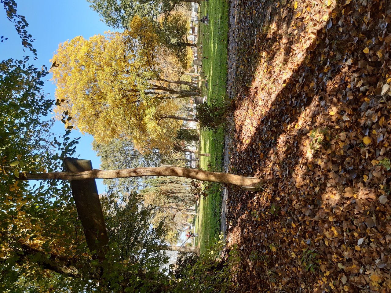20191015_143659.jpg