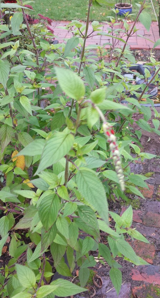 20191016_084307.jpg