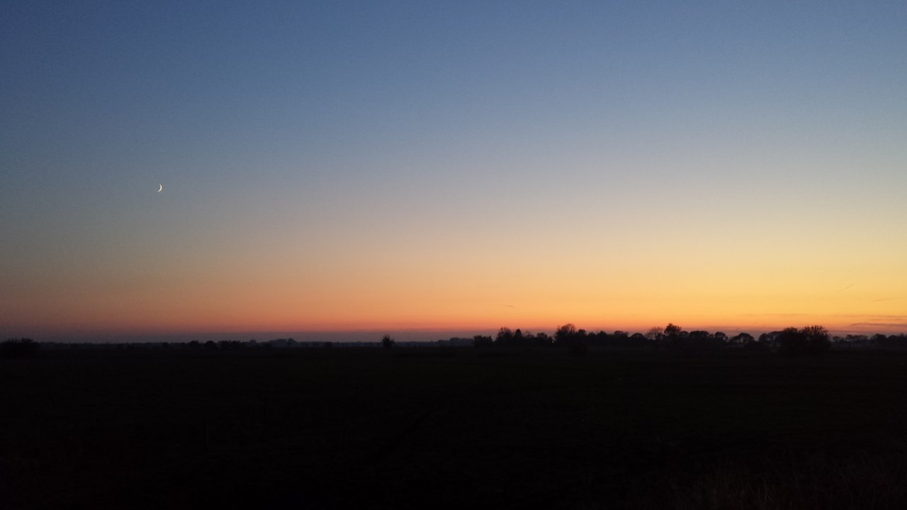 20191031_171654.jpg