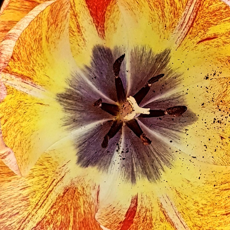 2020041119245800.jpg
