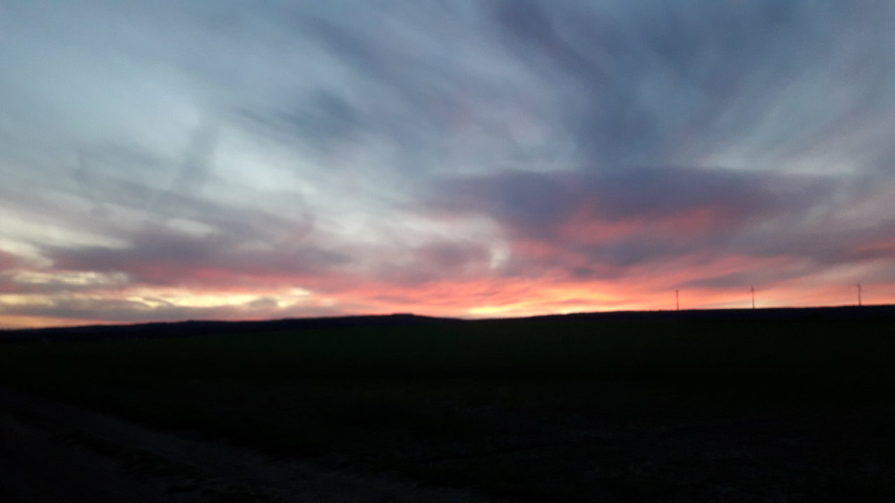 20200507_211651.jpg