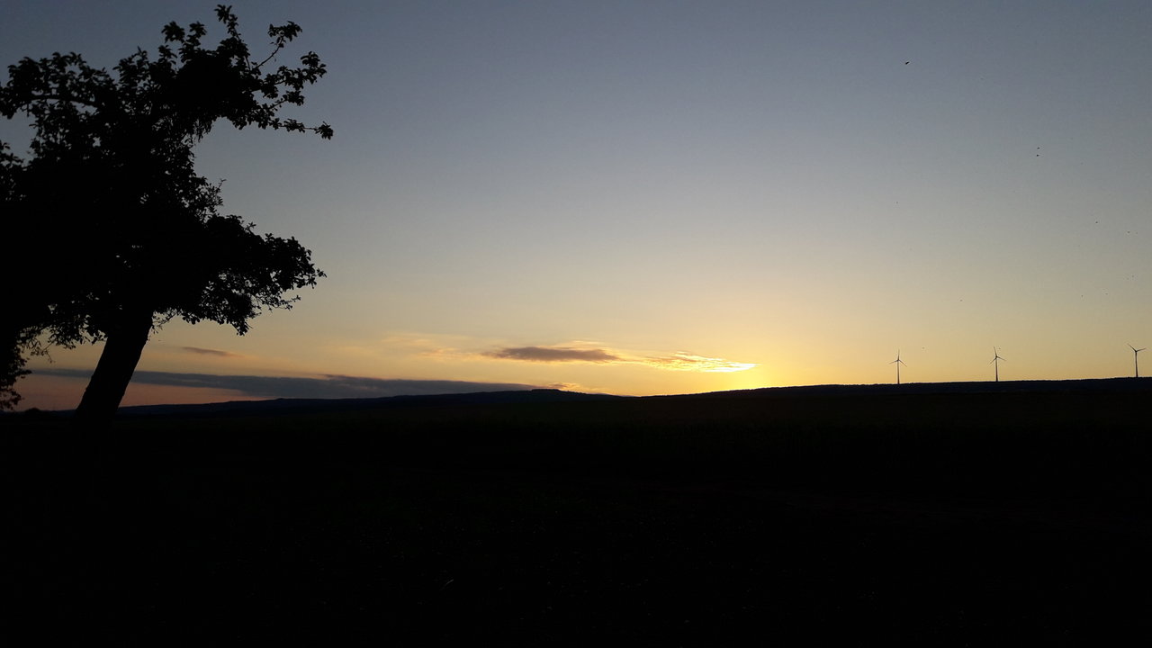 20200625_212305.jpg