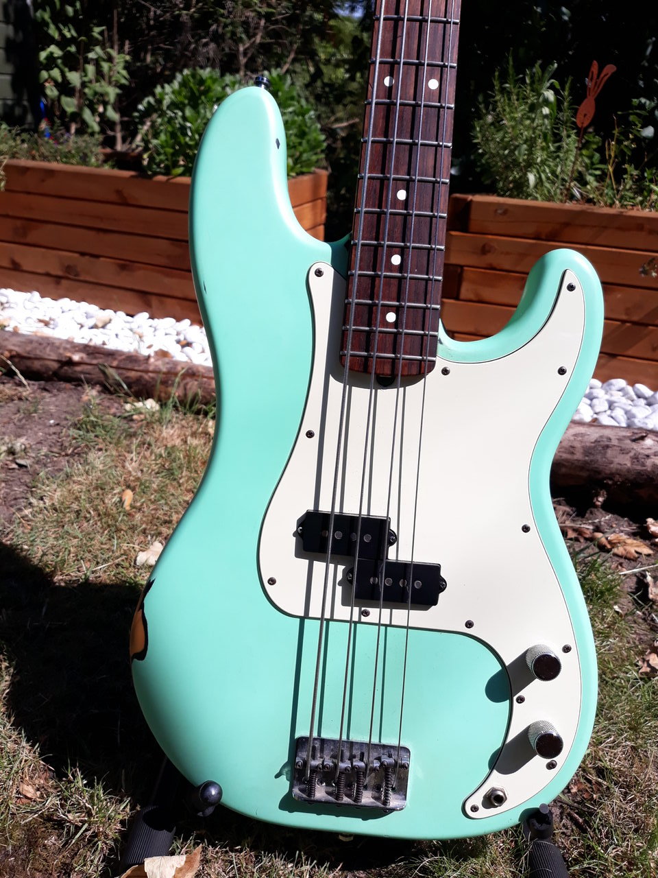 20200807_114755.jpg