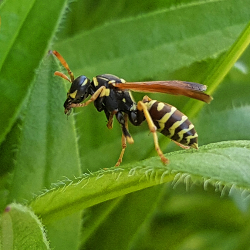 20200807_175939.jpg