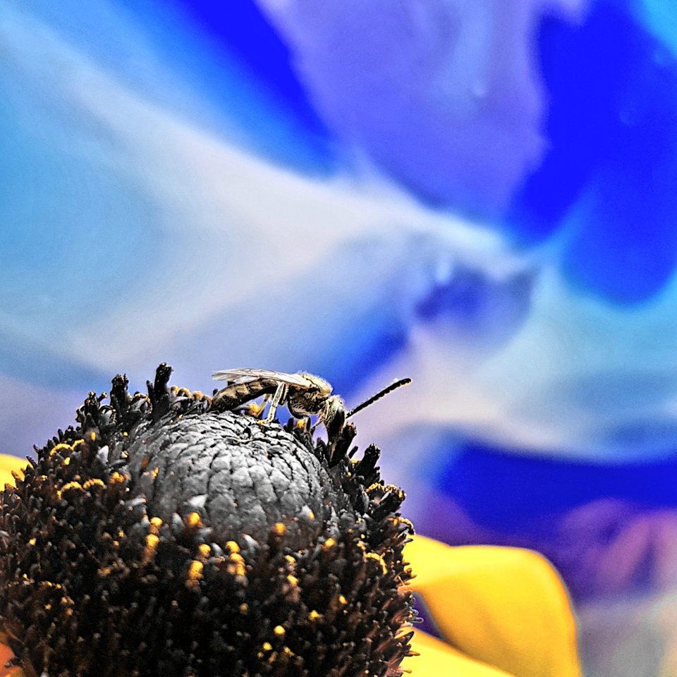 20200815_141316.jpg