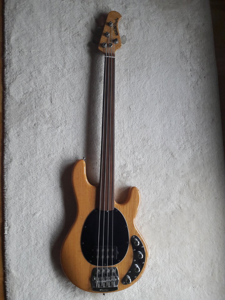 20200925_131251.jpg