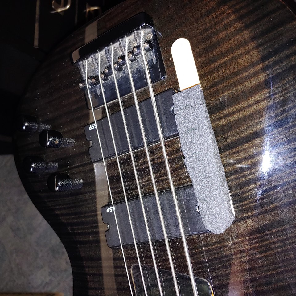 20201009_145730.jpg