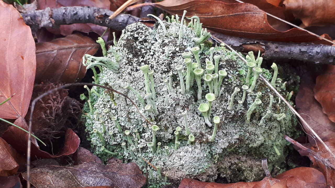 20201010_143031.jpg