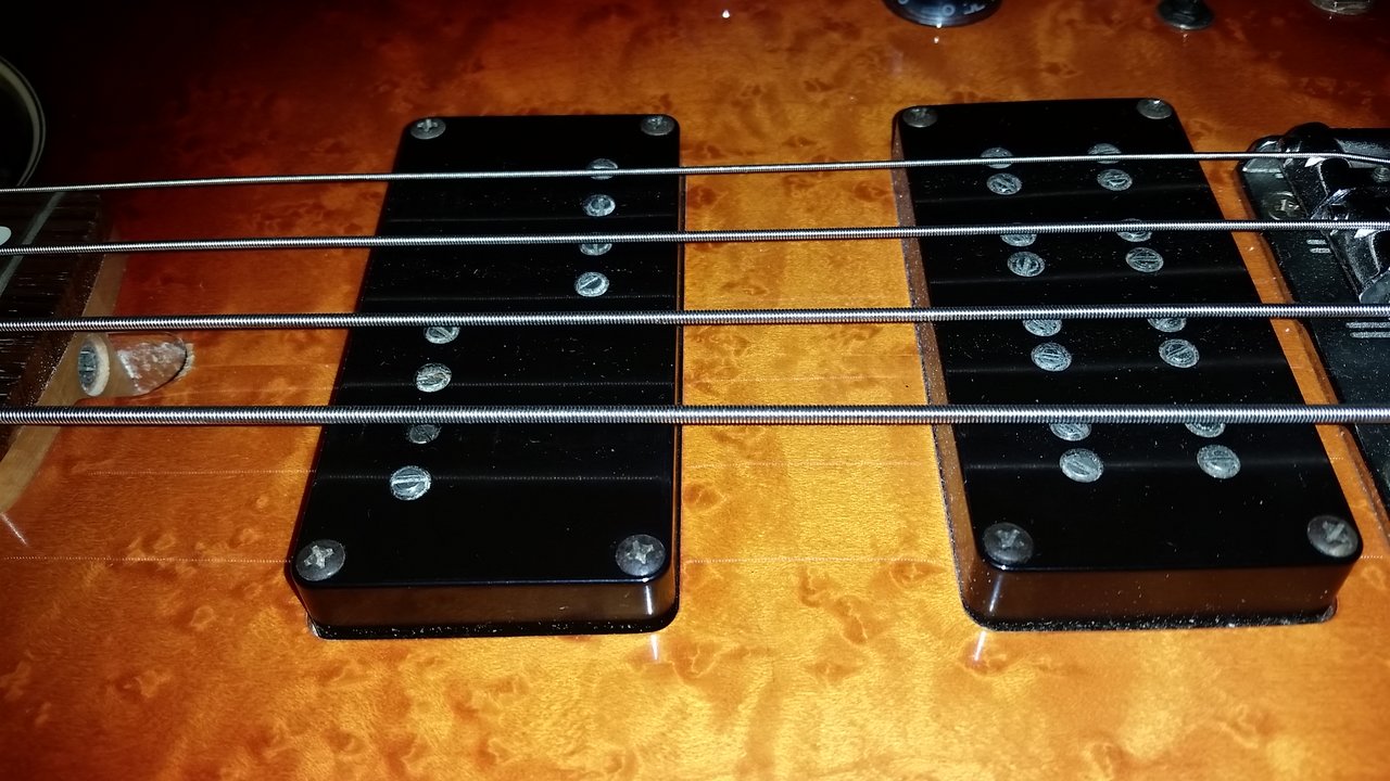 20201125_091750.jpg