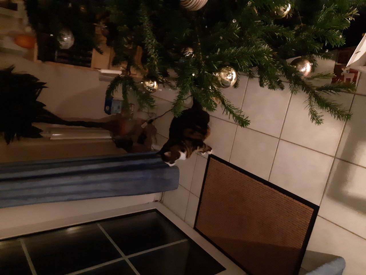 20201225_233945.jpg