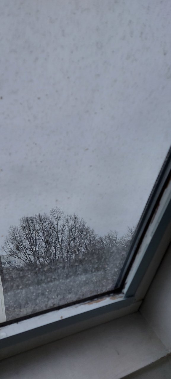 20210207_081212.jpg