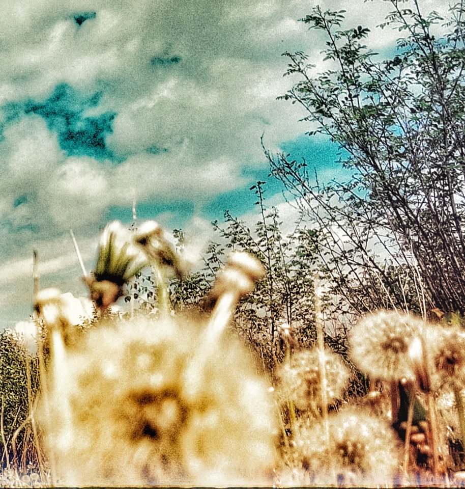 20210528_102511[1].jpg