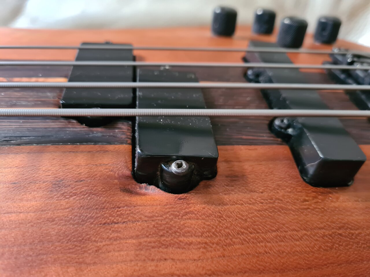 20210613_205908.jpg