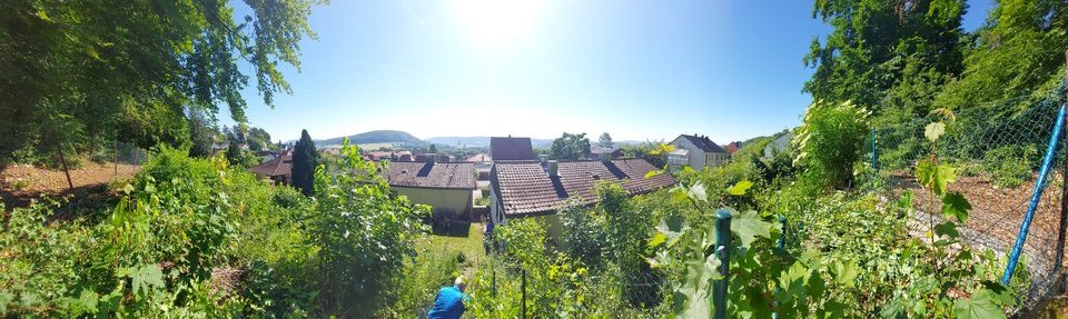20210617_093846.jpg