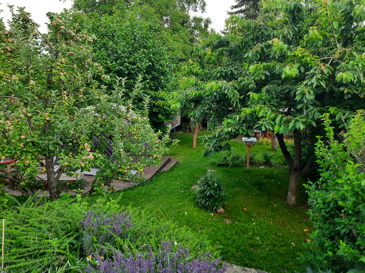 20210718_201337.jpg