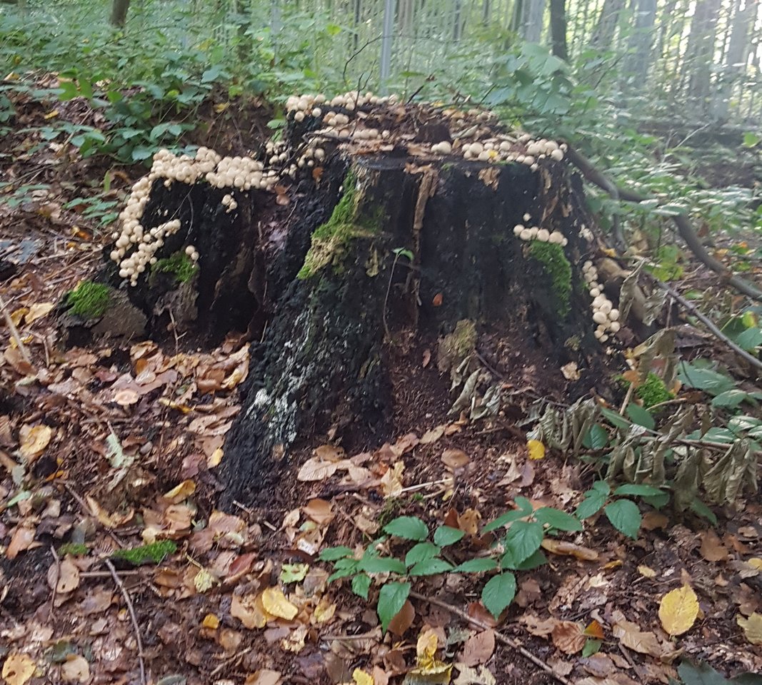 20211018_095349.jpg