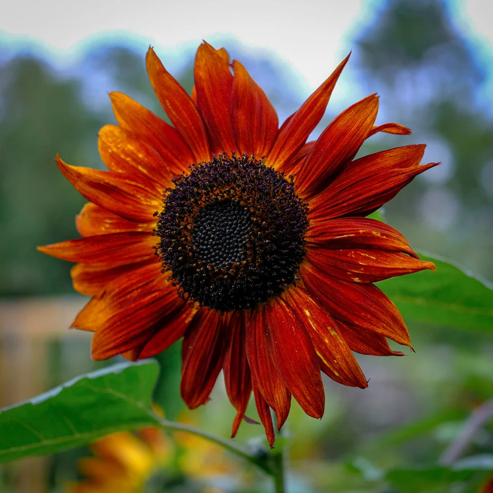 2021_0821_16130200 (1).webp