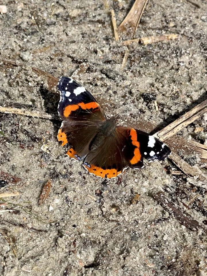 2022-08-07 14.22.15.webp