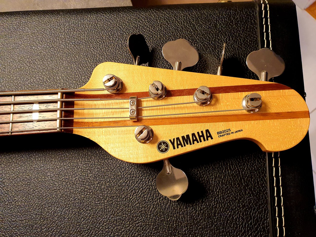 20220127_174659.jpg