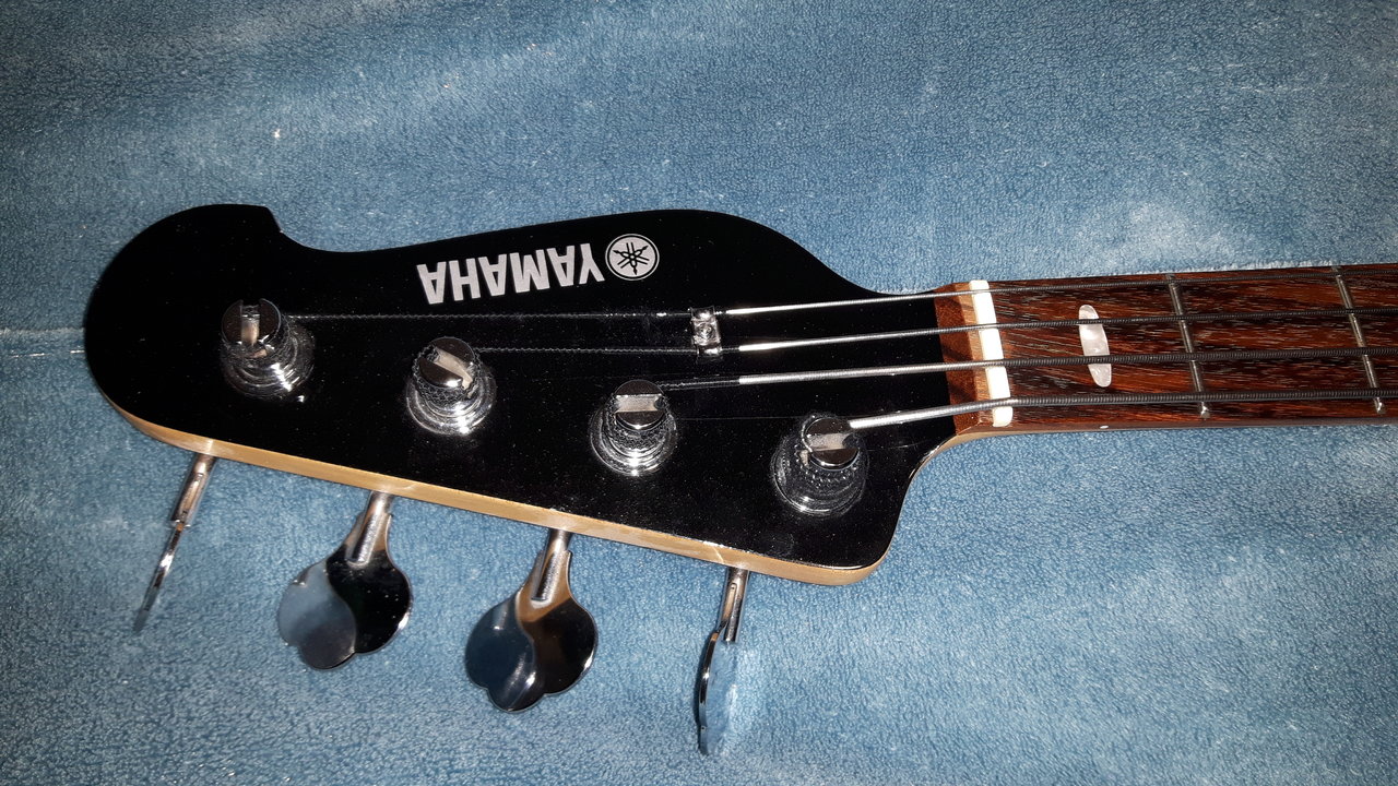 20220208_084547.jpg
