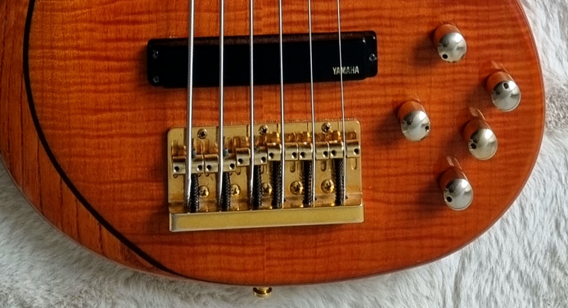 20220423_121555.jpg