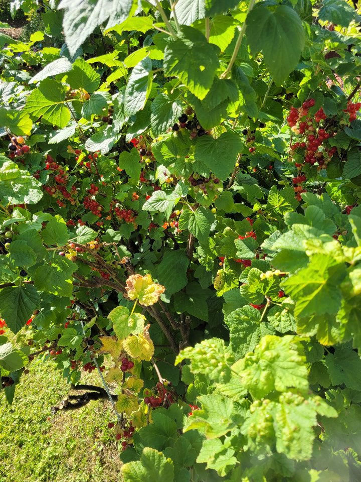20220614_172840.jpg