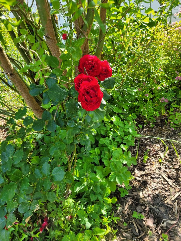 20220614_172906.jpg