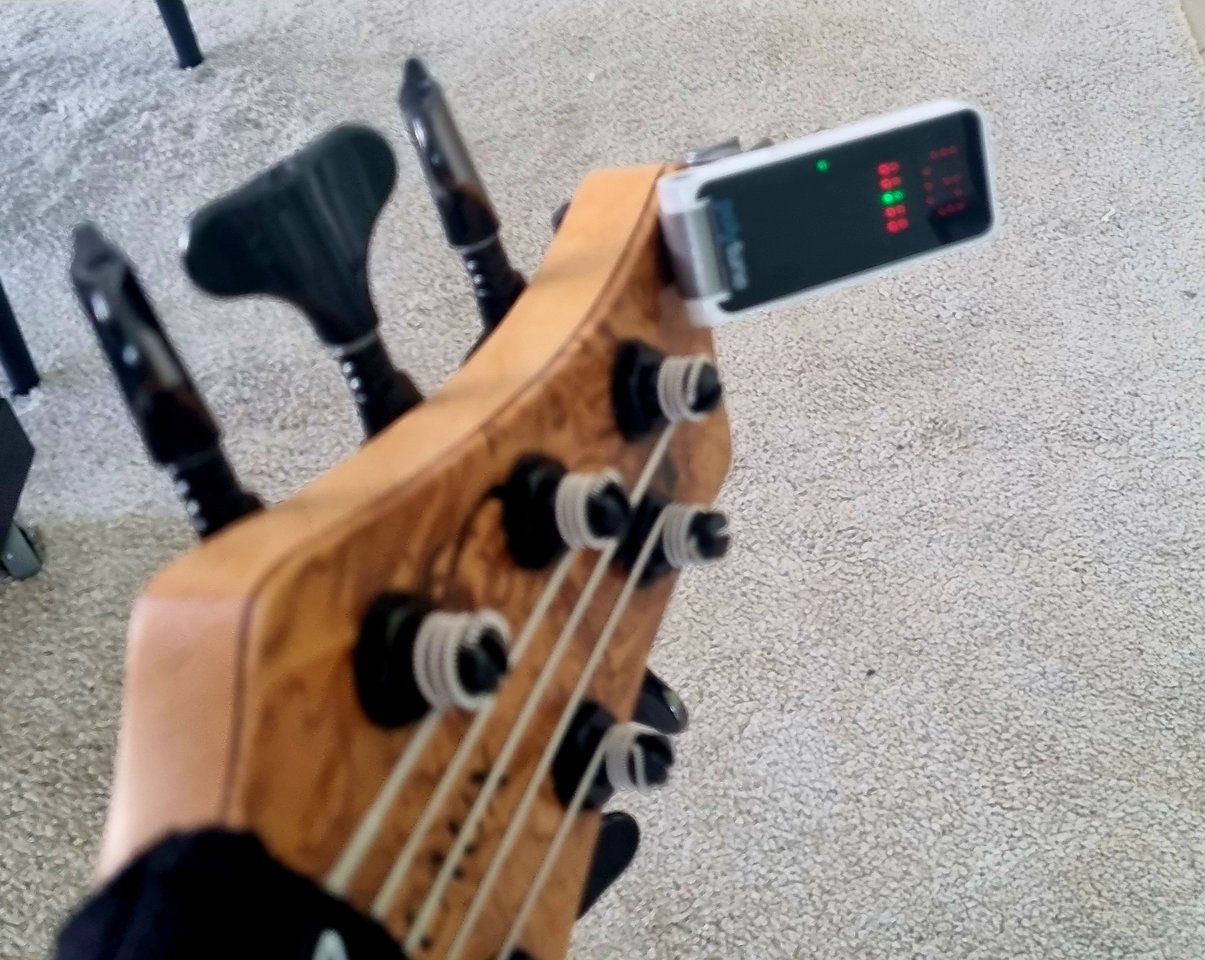 20220727_113123.jpg