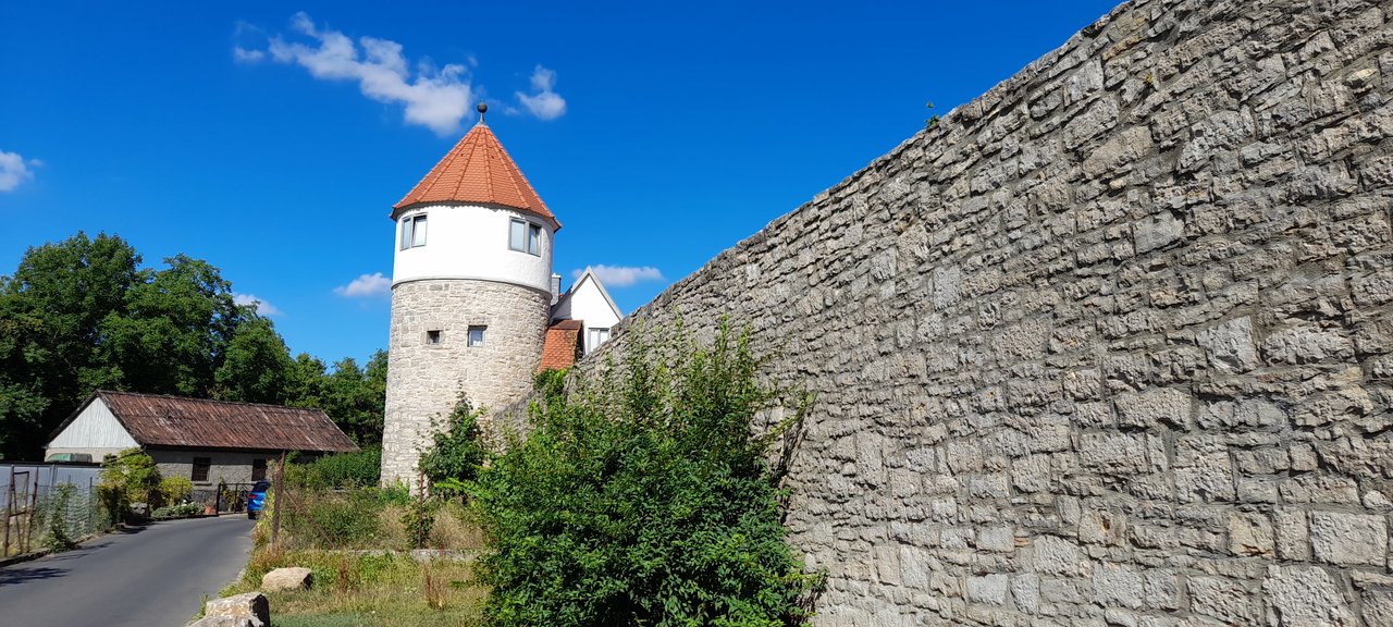 20220806_101719.jpg