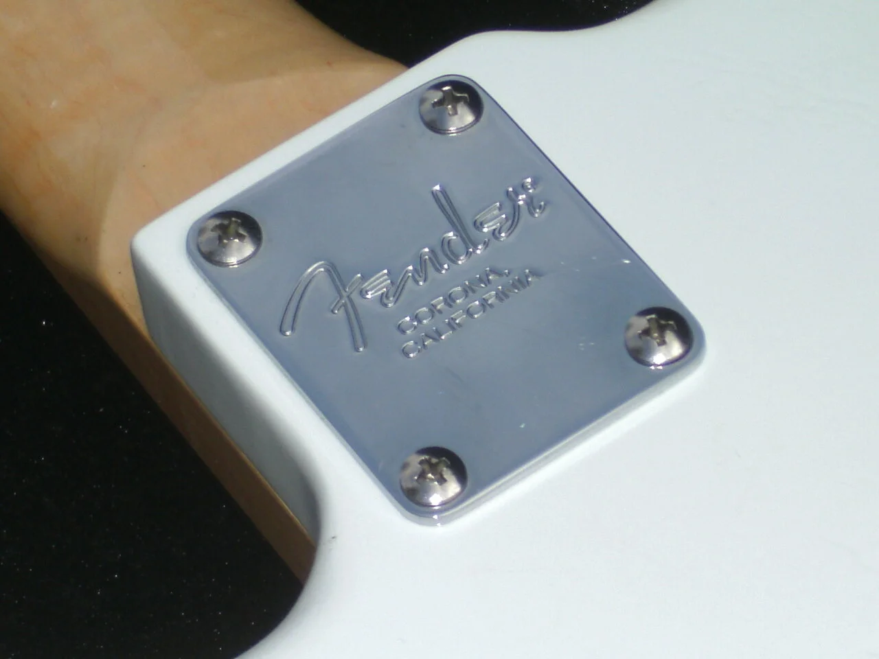 20220827 Bass 012.webp