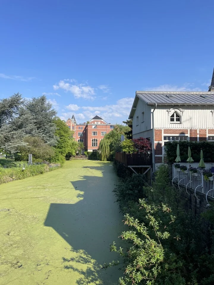 2023-05-14 09.29.43.webp