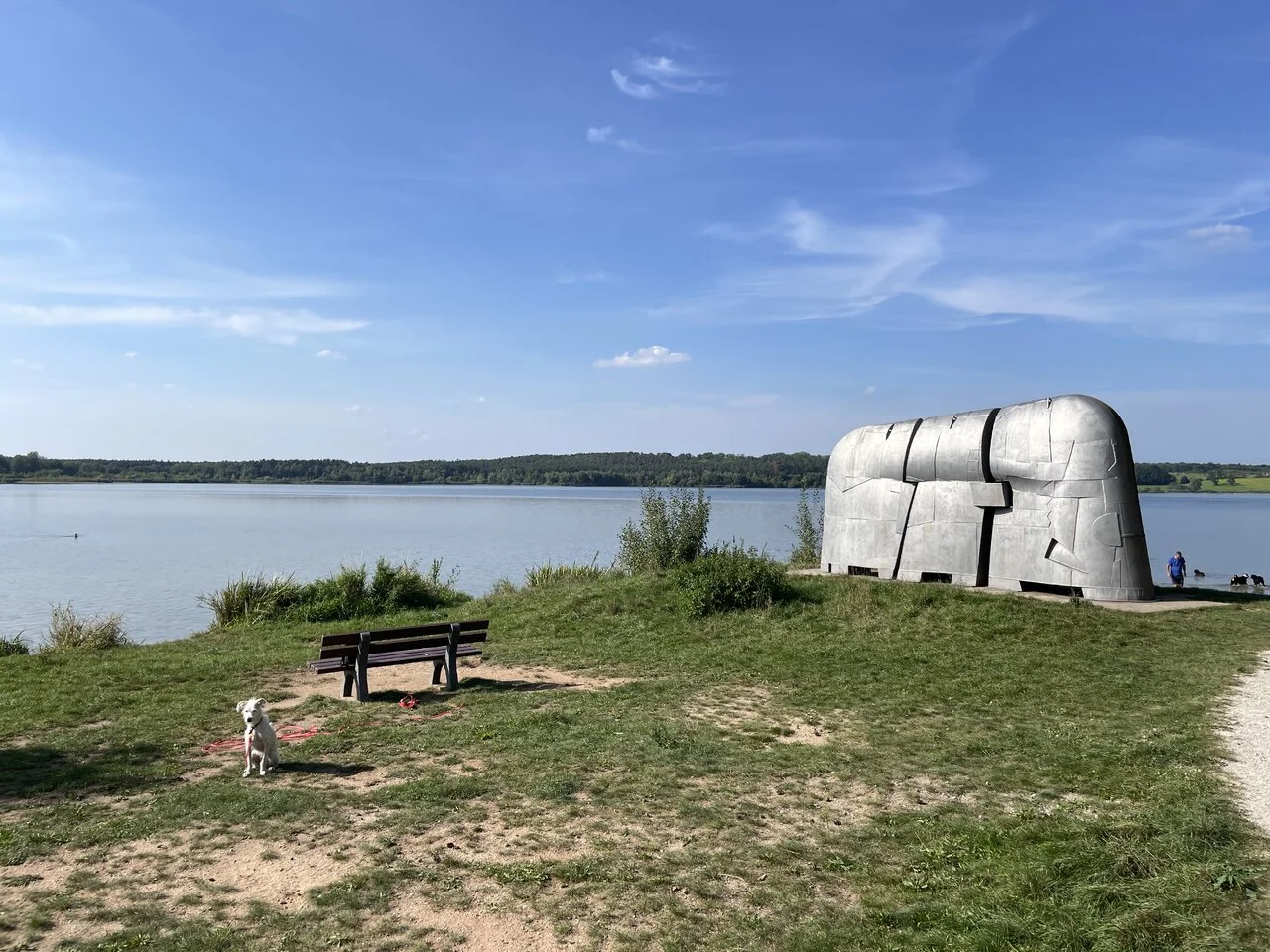 2023-09-12 15.49.24.webp