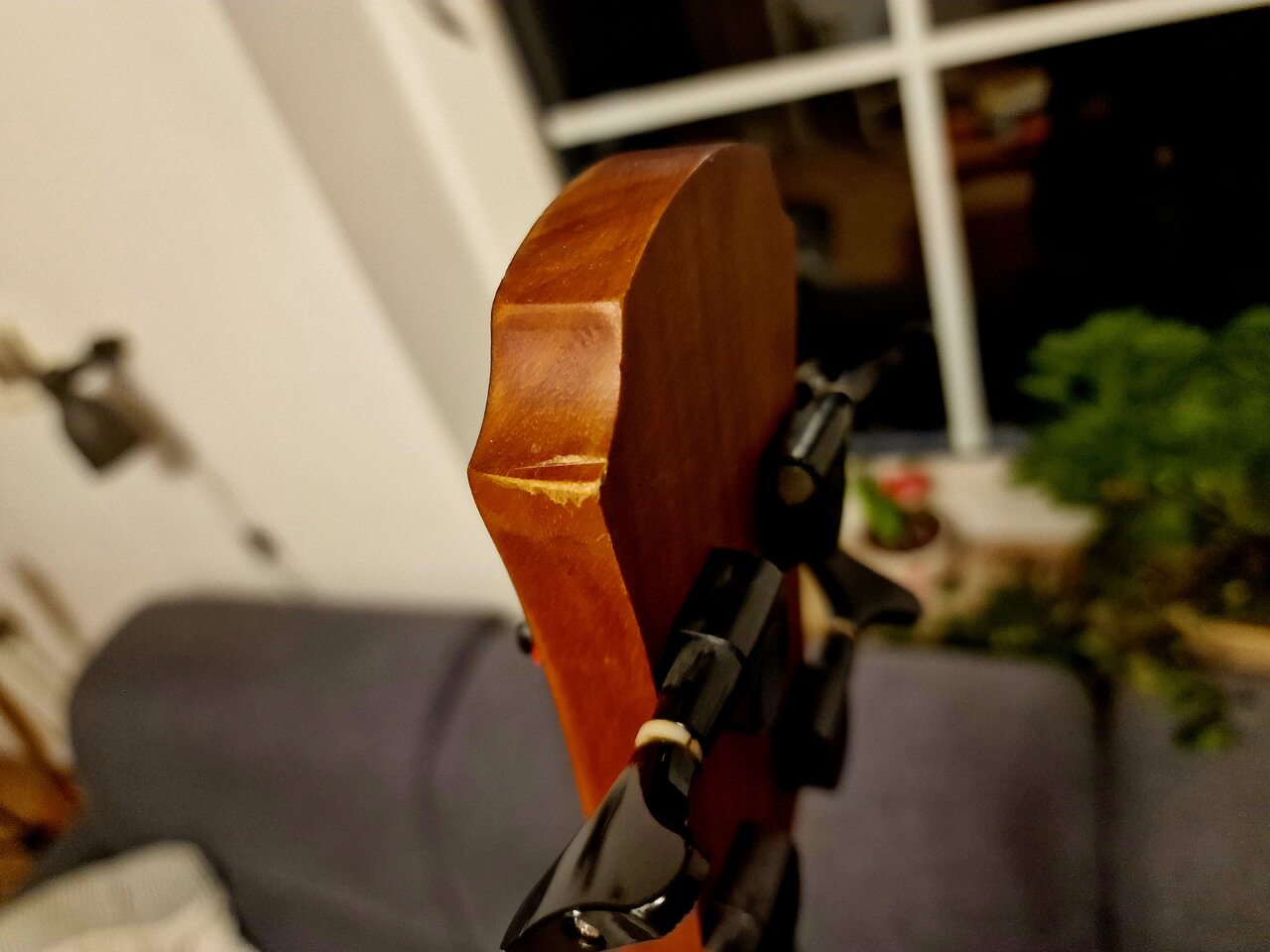 20230212_180836.jpg