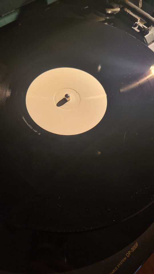 20230301_172911.jpg