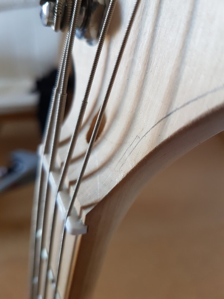 20230810_084457.jpg