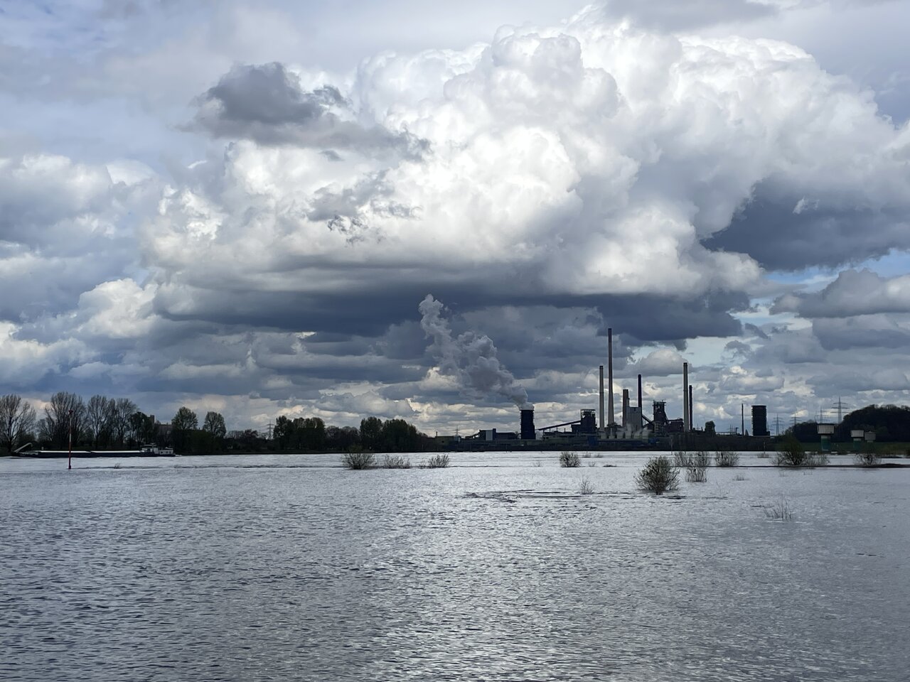 2024-03-29 14.41.51.jpg