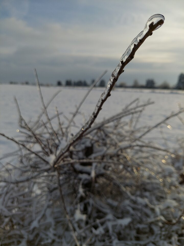 20240118_153123.jpg