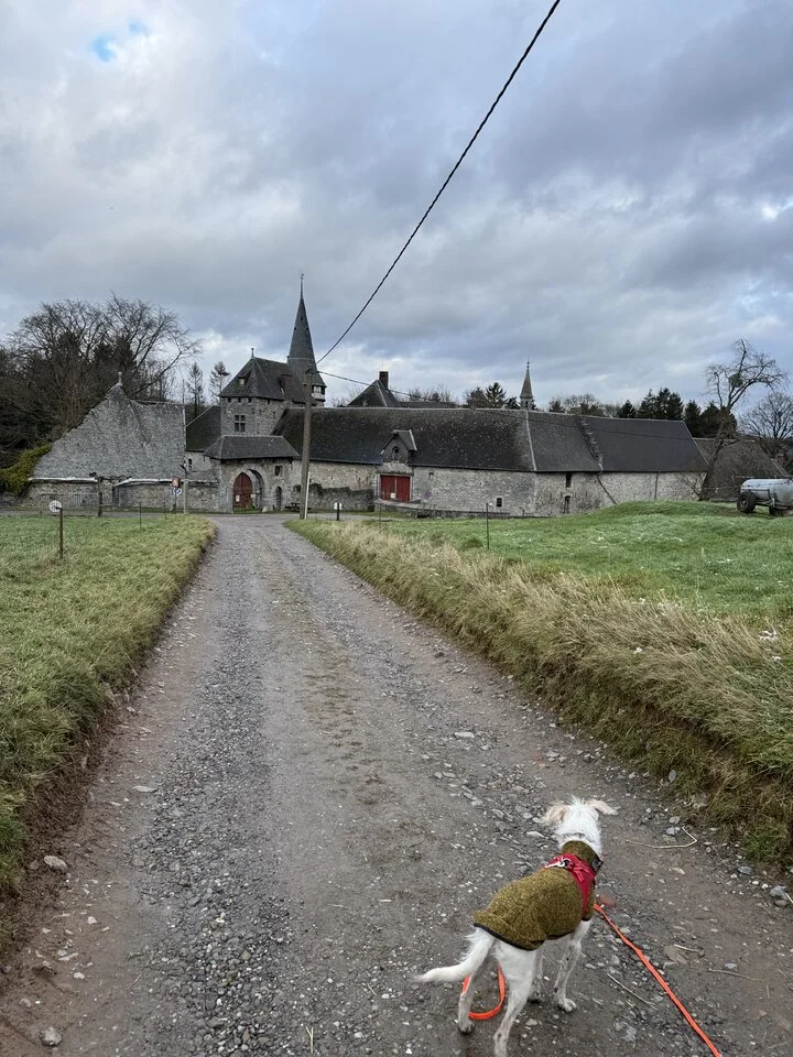 2025-01-03 15.00.51.webp