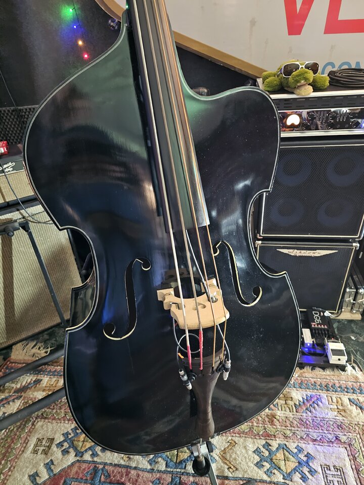 20250319_154108.jpg