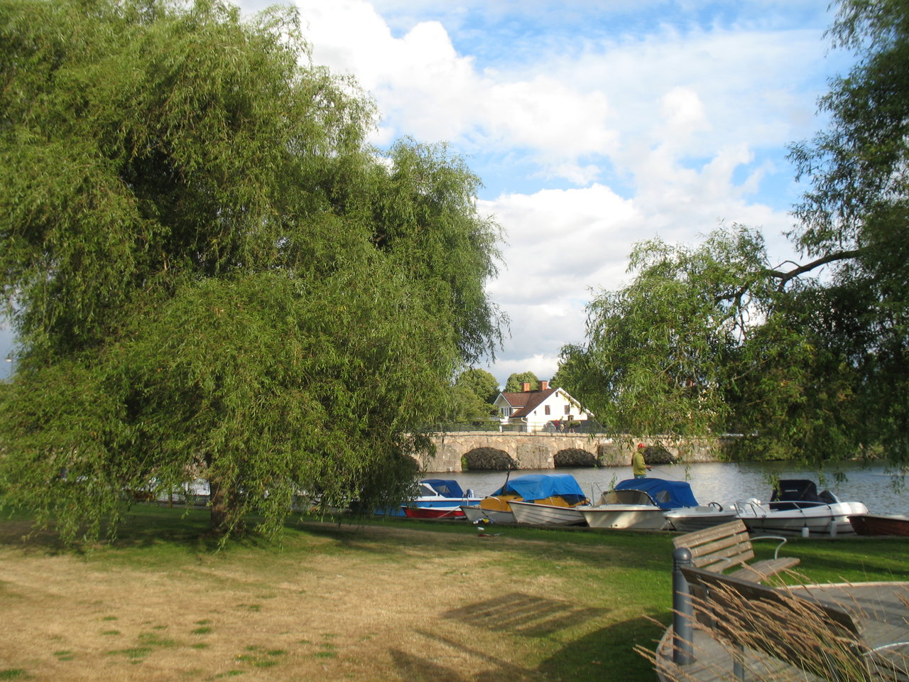 206.JPG