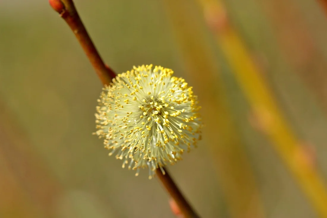 21032019 017_01.webp